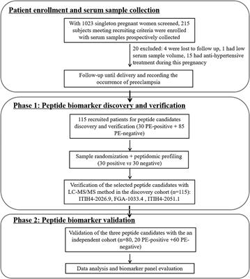 Serum peptidomic screening identified circulating peptide biomarkers predictive for preeclampsia